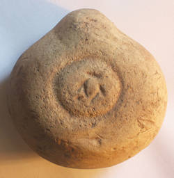 RE5